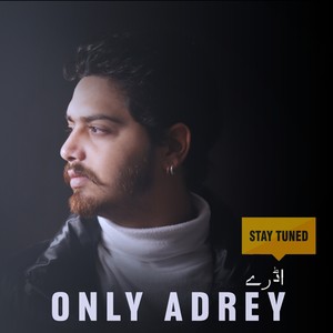 Follow(feat. Gurbir Gora & Aamir Chouhan)