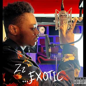 ...Exotic (feat. IMxDaKiD) [Explicit]