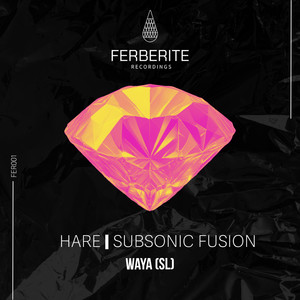 Hare / Subsonic Fusion