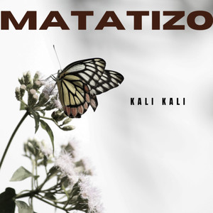 Matatizo