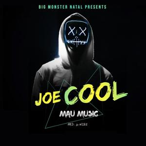 joe cools