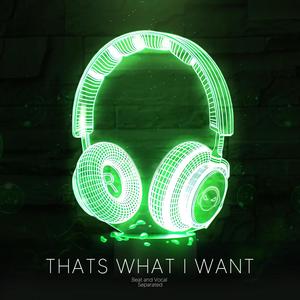 Thats What I Want (9D Audio) [Explicit]