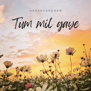 Tum Mil Gaye