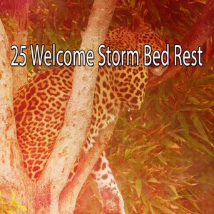 25 Welcome Storm Bed Rest