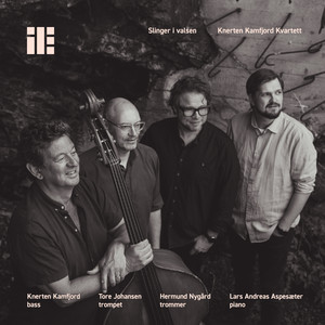 Knerten Kamfjord - Bolkesjø