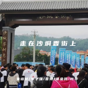 走在沙垌香街上 (伴奏)