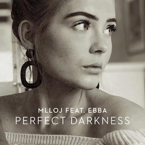 Perfect Darkness(feat. Ebba)