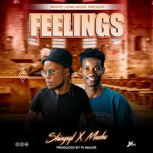 Feelings (feat. Shingsqil)