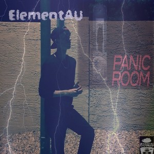 Panic Room