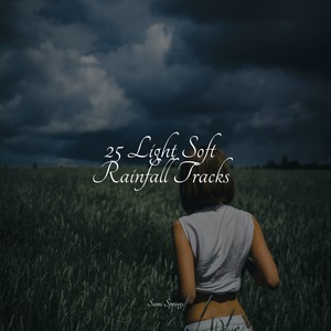 Birds Singing by a Waterfall