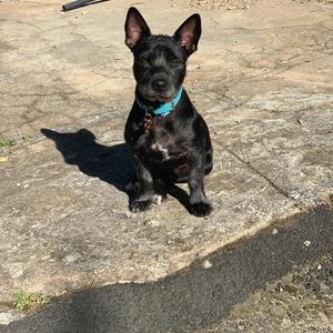 Bring Gold(feat. Smitty Coño) (Explicit)