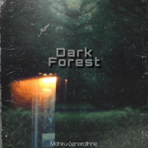 Dark Forest