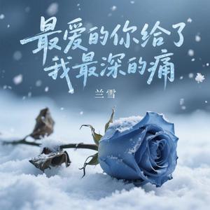 最爱的你给了我最深的痛