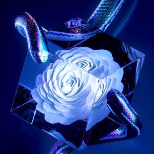 Animals (feat. RichSkii) (Explicit)