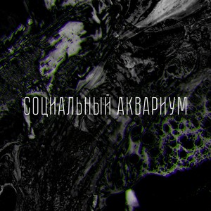социальный аквариум (Explicit)