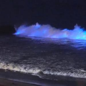 Neon Waves (Explicit)