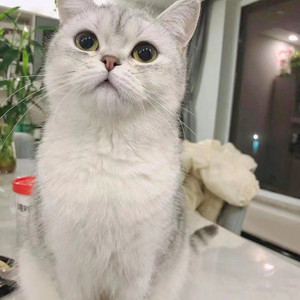 爱的回归线-玥玥