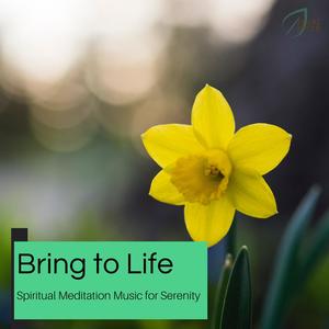 Simple Meditation (Original Mix)