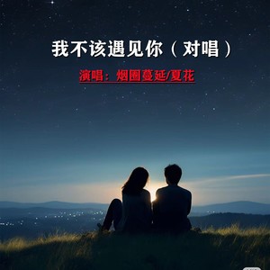 我不该遇见你 (伴奏)