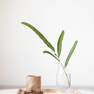 Blu Jam - Essential Tension