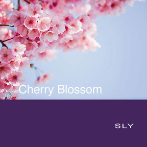 Cherry Blossom