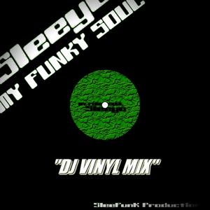 MY FUNKY SOUL (DJ VINYL MIXES)