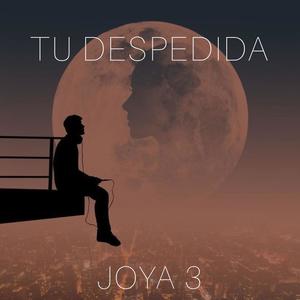 Tu Despedida