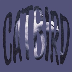 Catbird