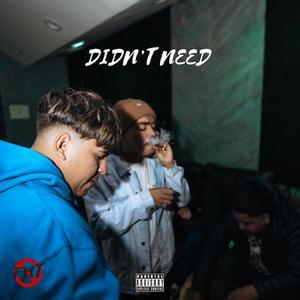 Didn't Need (feat. FNT Bran) (Explicit)