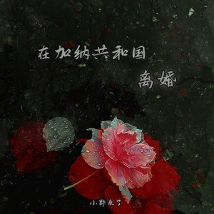 在加纳共和国离婚-小野来了