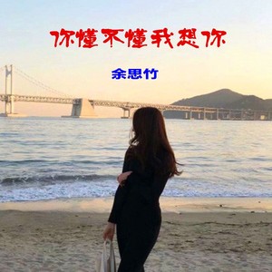 你懂不懂我想你 (Demo)