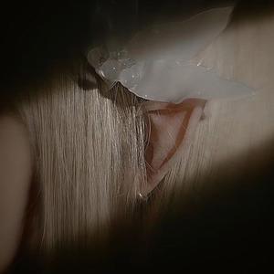 lobo-solitário (Explicit)