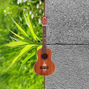 Green or Grey Leaves (Ukulele Version)