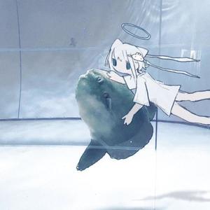 whyshouldicare (Explicit)