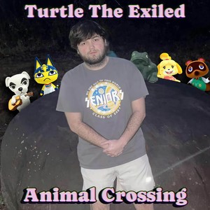 Animal Crossing - Instrumental