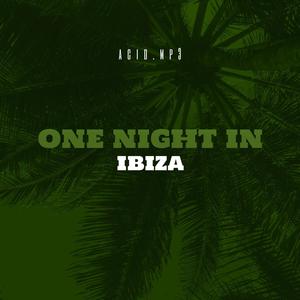 One Night In Ibiza (Explicit)