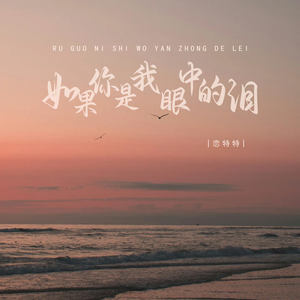 如果你是我眼中的泪