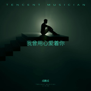 我曾用心爱着你