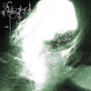 i could die in your dreams (Explicit)