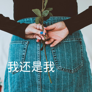 慢慢细品我的极端还有浪漫 (DJ版)