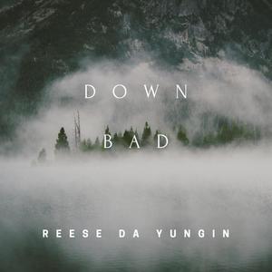 Down bad (feat. Psr Gxssedout) [Explicit]