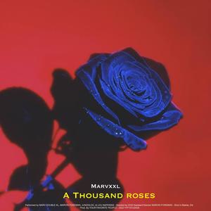 A Thousand Roses (Explicit)