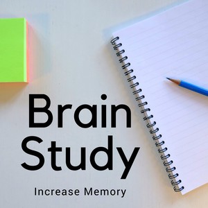 Brain Study - Increase Memory, Stress Relief, Concentrate and Focus, Train Your Brain, Relaxation Sounds