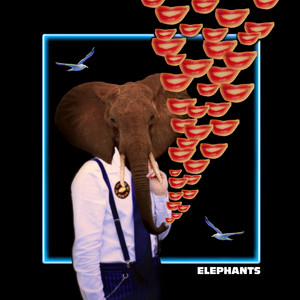 Elephants