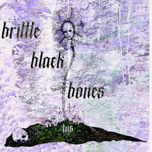 brittle black bones