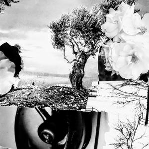 Reclaiming Experience