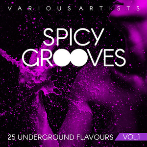 Spicy Grooves (25 Underground Flavours), Vol. 1