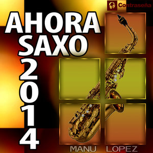 Ahora Saxo 2014