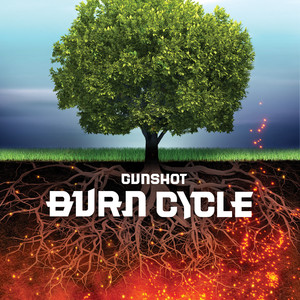 Burn Cycle (Explicit)