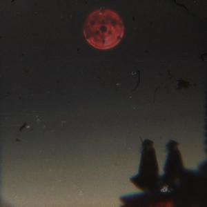 CANT BELIEVE (Explicit)